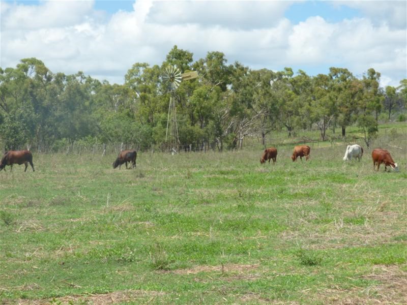 BOWEN QLD